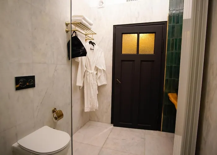 Leon S Place 아파트 브라쇼브